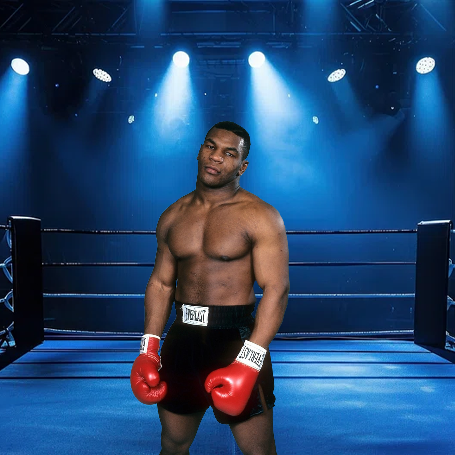 Boxer 2